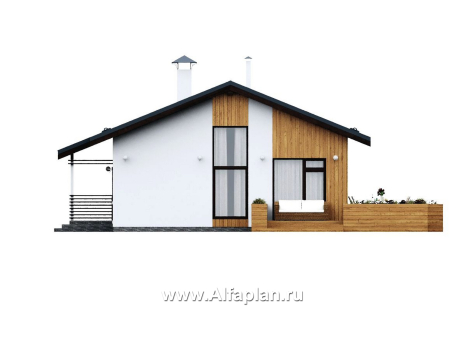 «Литен» - проект простого одноэтажного дома, планировка 2 спальни, с двускатной крышей - превью фасада дома