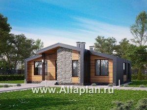 Проекты домов Альфаплан - «Альфа» - каркасный коттедж с фальцевыми фасадами - превью основного изображения