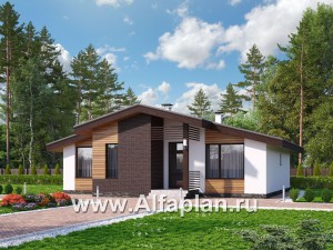 Превью проекта ««Альфа» - проект одноэтажного дома, с сауной и с террасой в скандинавском стиле»